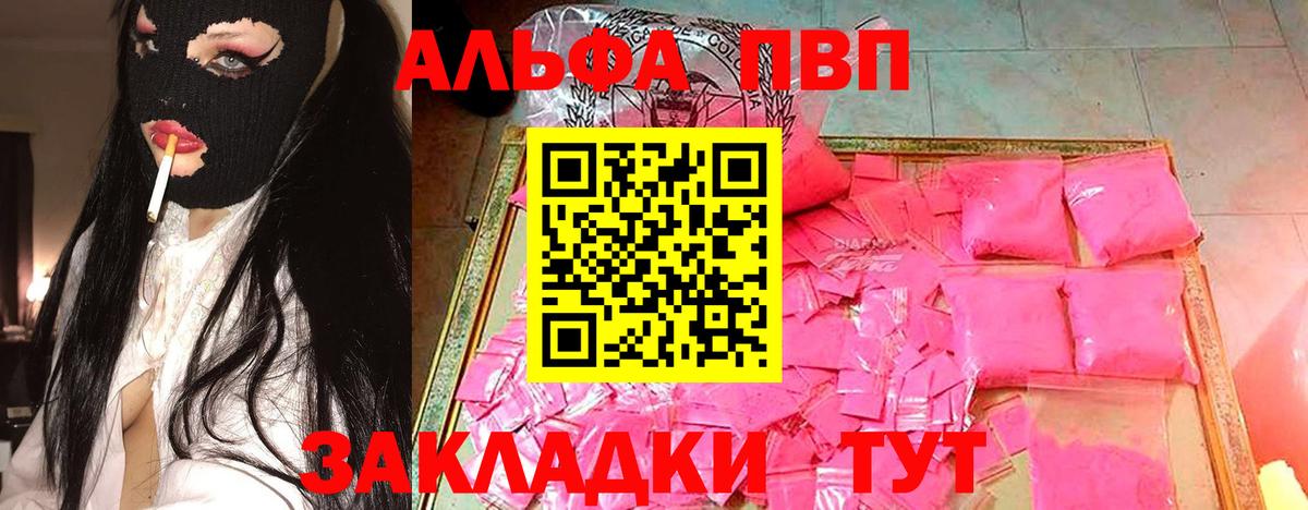 Альфа ПВП СК Нальчик
